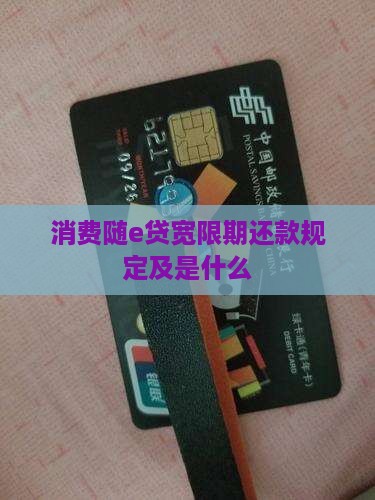 消费随e贷宽限期