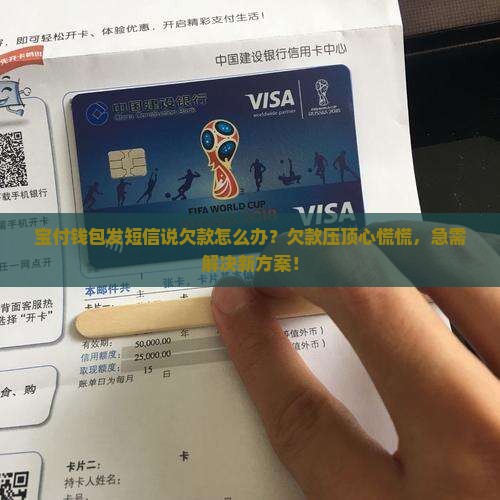 宝付钱包发短信说欠款怎么办