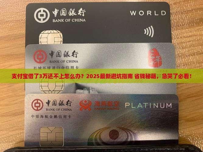 支付宝借钱3万无力偿还