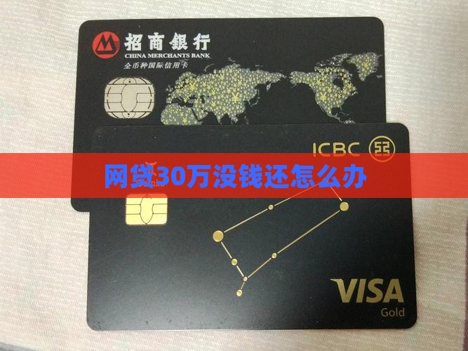 网贷30万没钱还怎么办