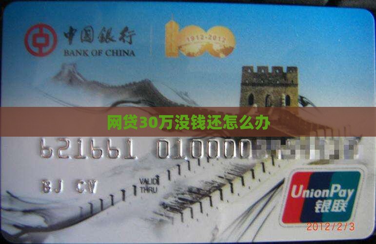 网贷30万没钱还怎么办
