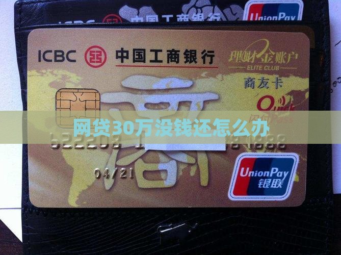 网贷30万没钱还怎么办