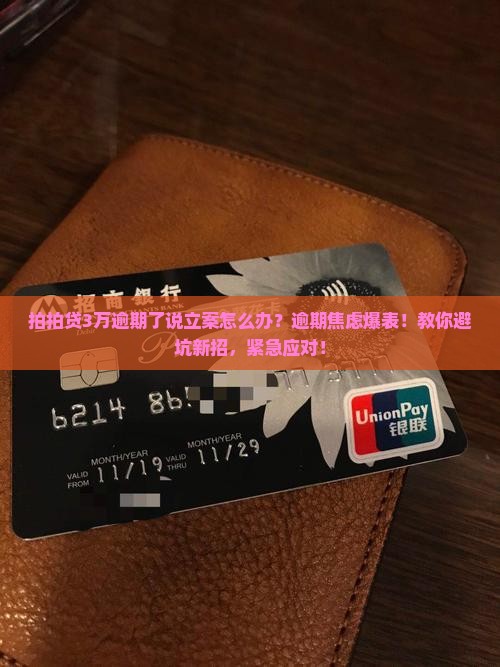 拍拍贷3万逾期了说立案怎么办