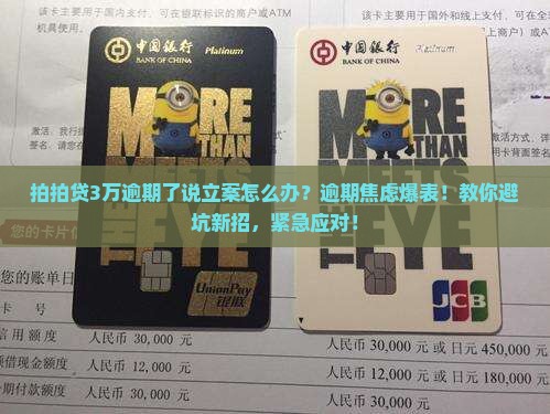 拍拍贷3万逾期了说立案怎么办