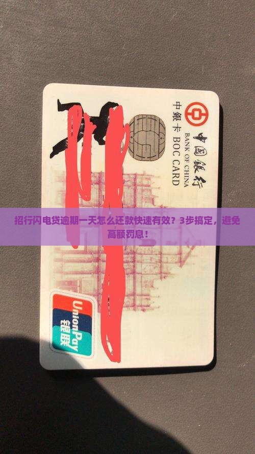 招行闪电贷逾期一天怎么还款快速有效
