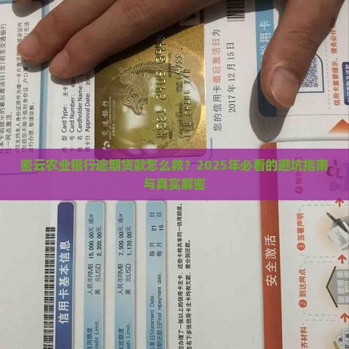 密云农业银行逾期贷款怎么处理