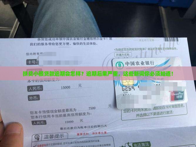 扶贫小额贷款逾期规定及处罚措施