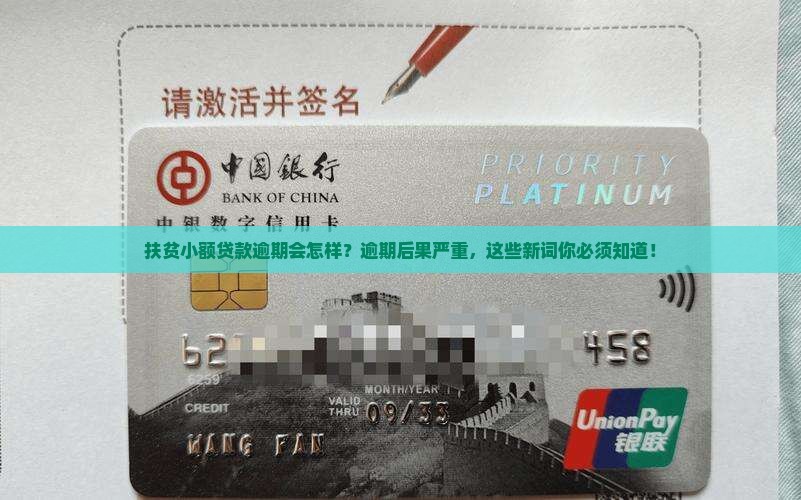 扶贫小额贷款逾期规定及处罚措施