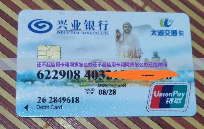 还不起信用卡和网贷怎么办