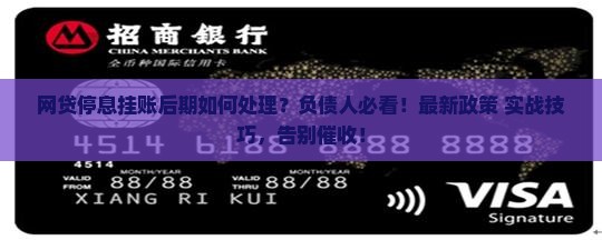 网贷停息挂账后期如何处理
