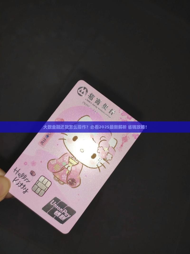 大数金融还款操作指南