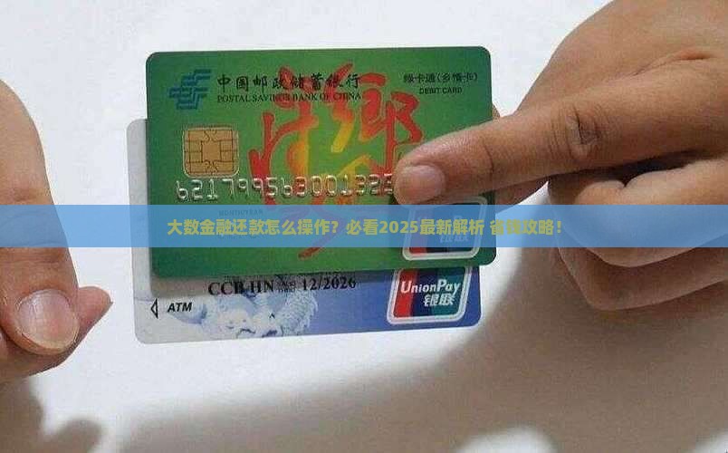 大数金融还款操作指南