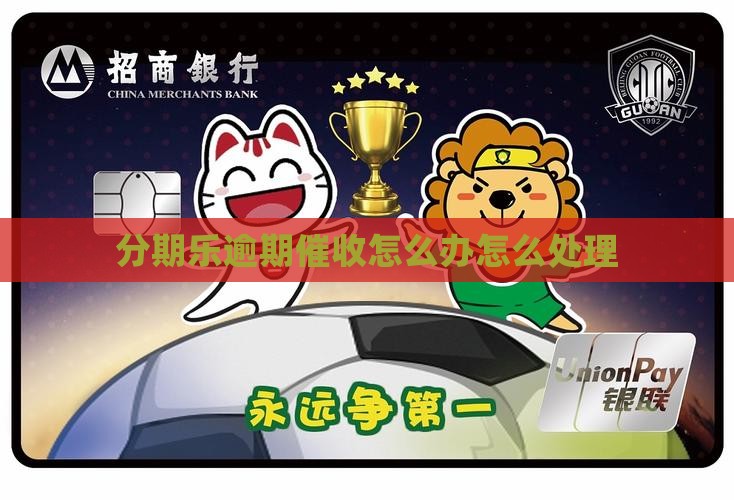 分期乐催收处理方法