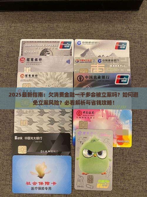 欠消费金融一千多会被立案的解决方法
