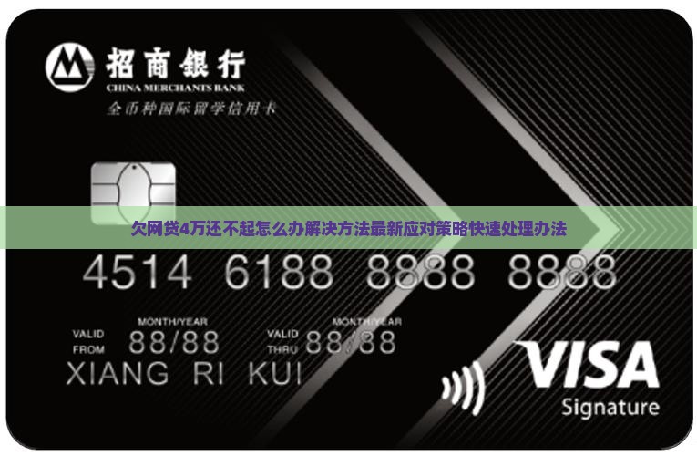欠网贷4万还不起怎么办解决方法