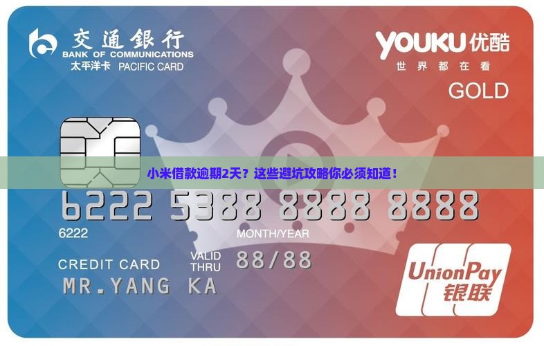 小米借款逾期2天