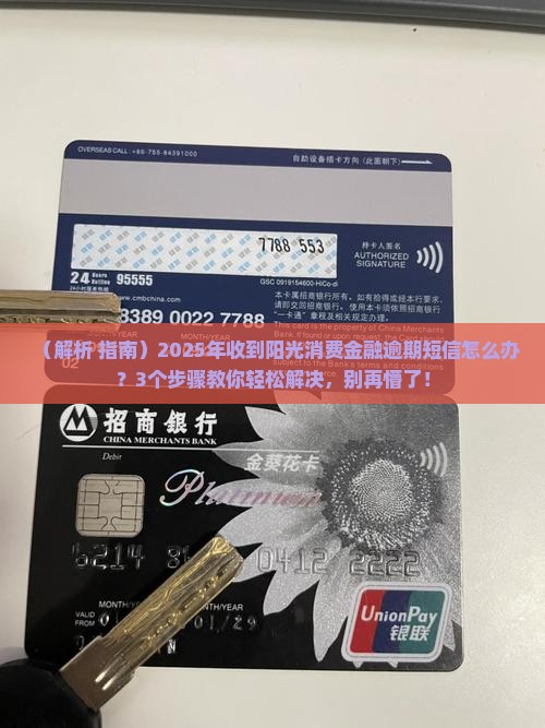 阳光消费金融逾期短信怎么办理
