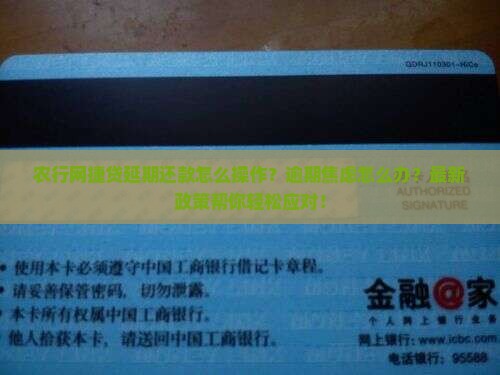 农行网捷贷延期还款怎么操作