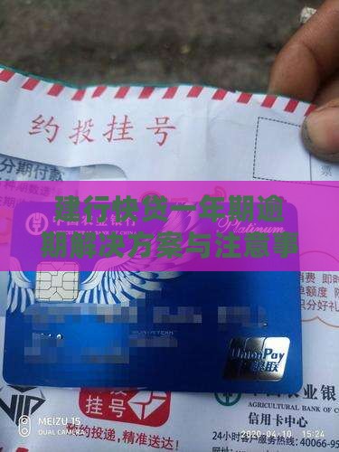 建行快贷一年期逾期解决方案与注意事项详解