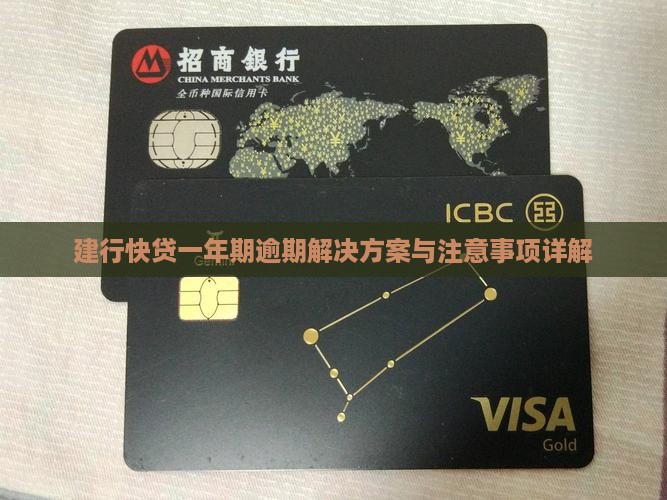 建行快贷一年期逾期解决方案与注意事项详解