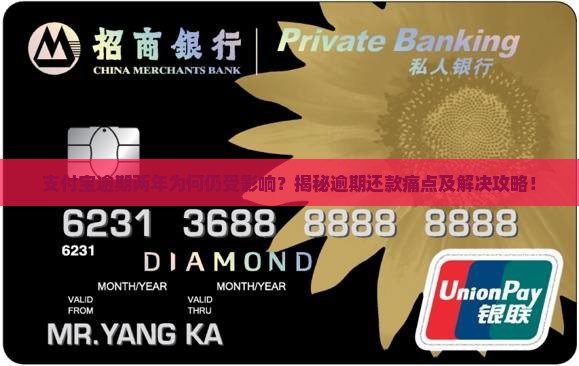 支付宝逾期两年会怎样