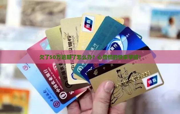 欠款50万还不起逾期了情况及应对措施