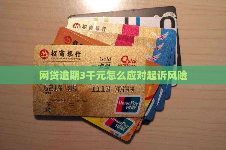 网贷欠款3千元被起诉