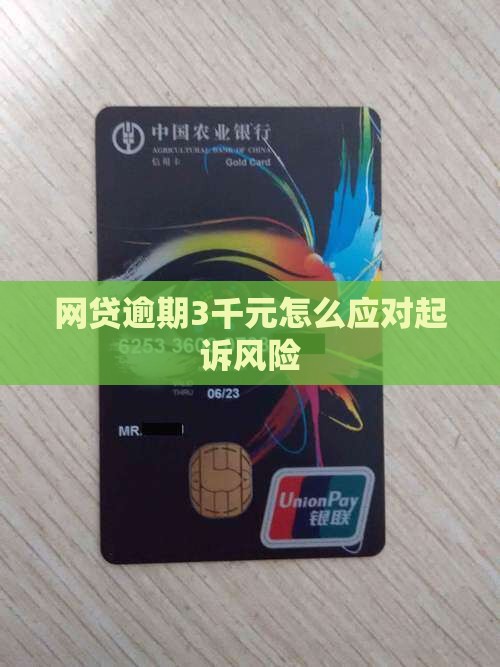 网贷欠款3千元被起诉