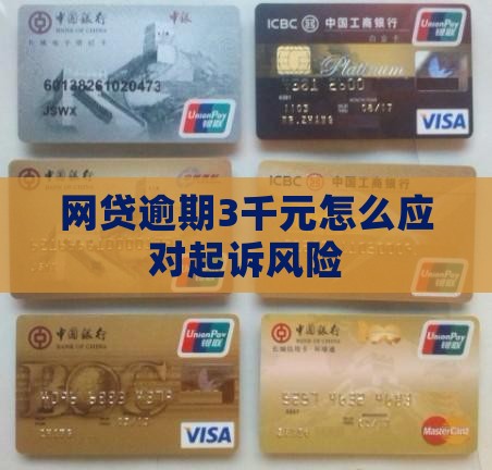 网贷欠款3千元被起诉
