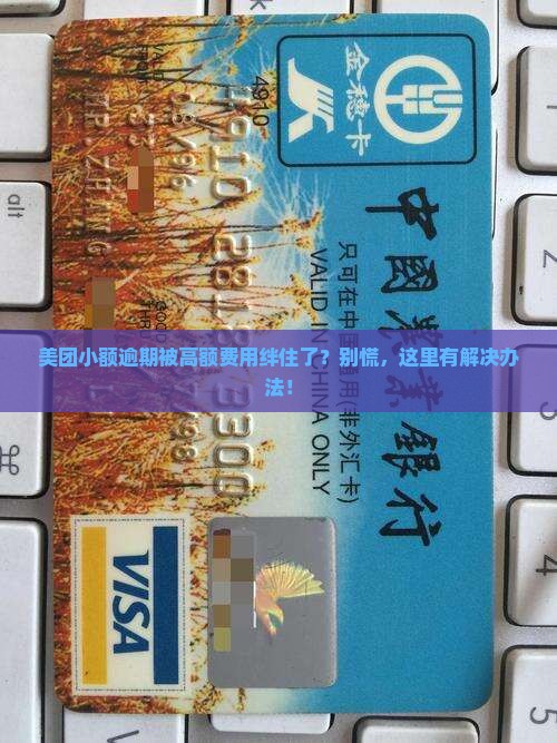 美团小额逾期费用高怎么办