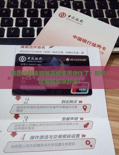 美团小额逾期费用高怎么办