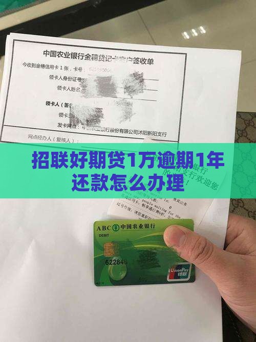 招联好期贷1万逾期1年还款怎么办