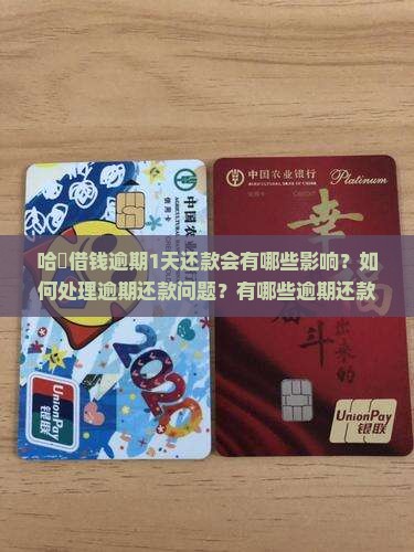 哈啰借钱逾期1天还款需要注意什么