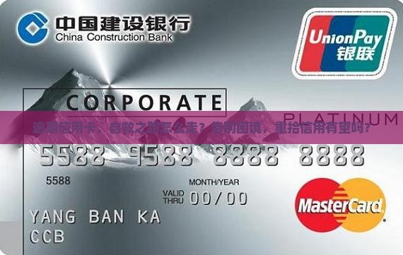 信用卡逾期怎么自救怎么办