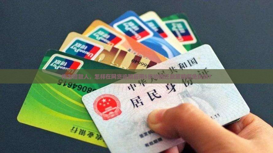 网贷逾期自己如何协商还款有效方式