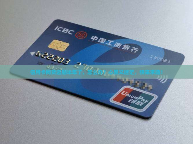 信用卡网贷逾期半年以上怎么解决