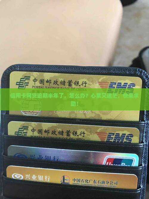 信用卡网贷逾期半年以上怎么解决