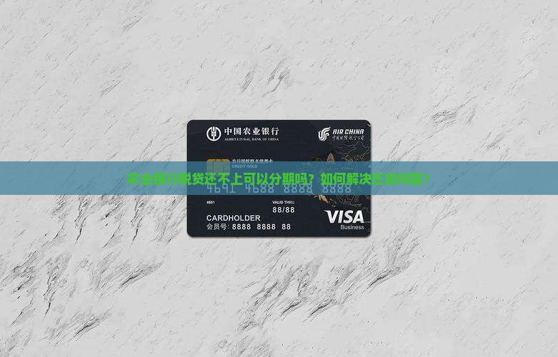 农业银行税贷还不上可以分期吗如何解决