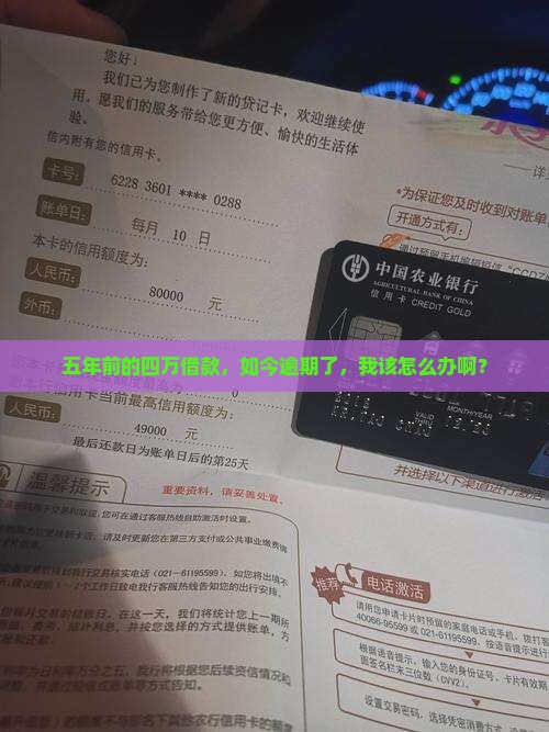 支付宝逾期5年4万借款逾期怎么办