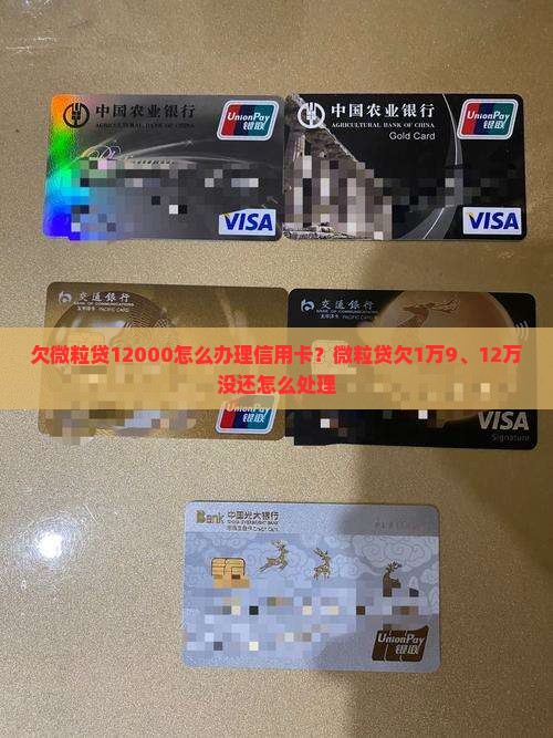 欠微粒贷12000怎么办理