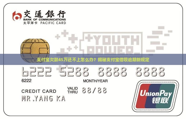 支付宝欠款45万怎么办