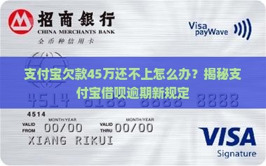 支付宝欠款45万怎么办