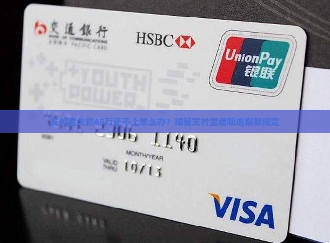 支付宝欠款45万怎么办
