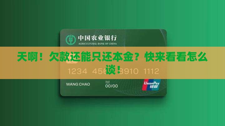 怎么协商可以只还本金