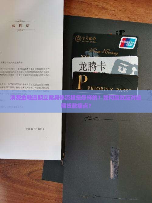 消费金融逾期立案需要什么流程 消费金融逾期立案需要什么流程
