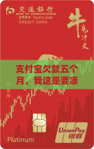 支付宝逾期五个月会怎么样