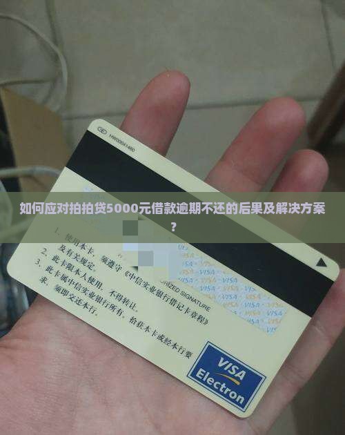 拍拍贷欠5000不还怎么办