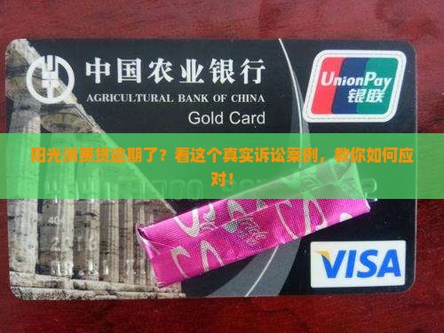 阳光消费贷逾期诉讼案例及应对措施