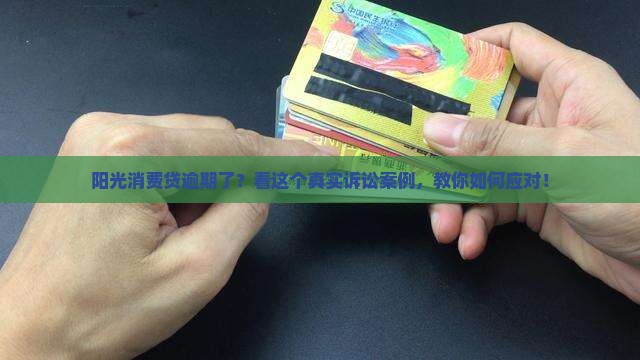阳光消费贷逾期诉讼案例及应对措施