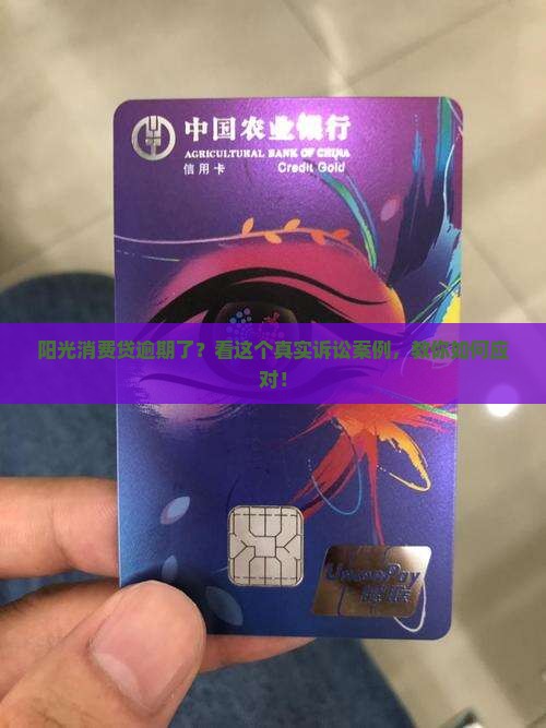 阳光消费贷逾期诉讼案例及应对措施